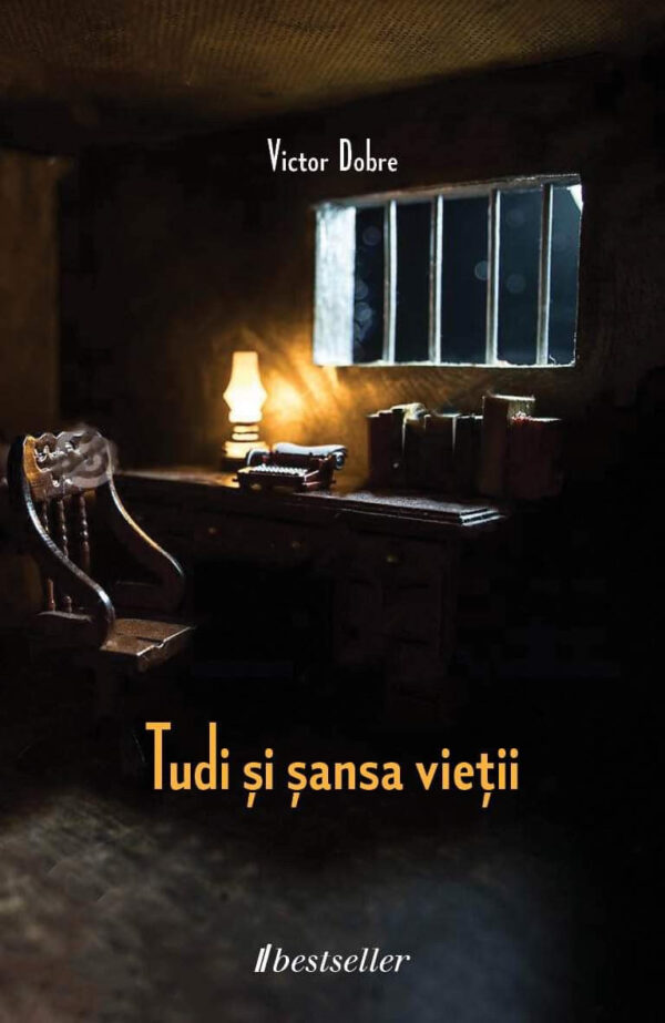 Tudi si sansa vietii